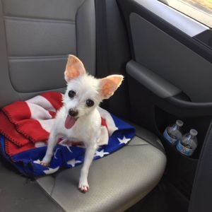 Meet your Posher, Lillian